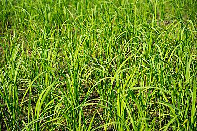 索尼新专利 可根据玩家水平实时调整游戏难度