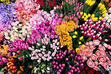 寒冬已至！《索拉斯塔:冰之宫殿》现已发售！